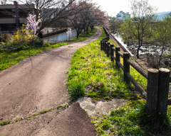 いつか来た道