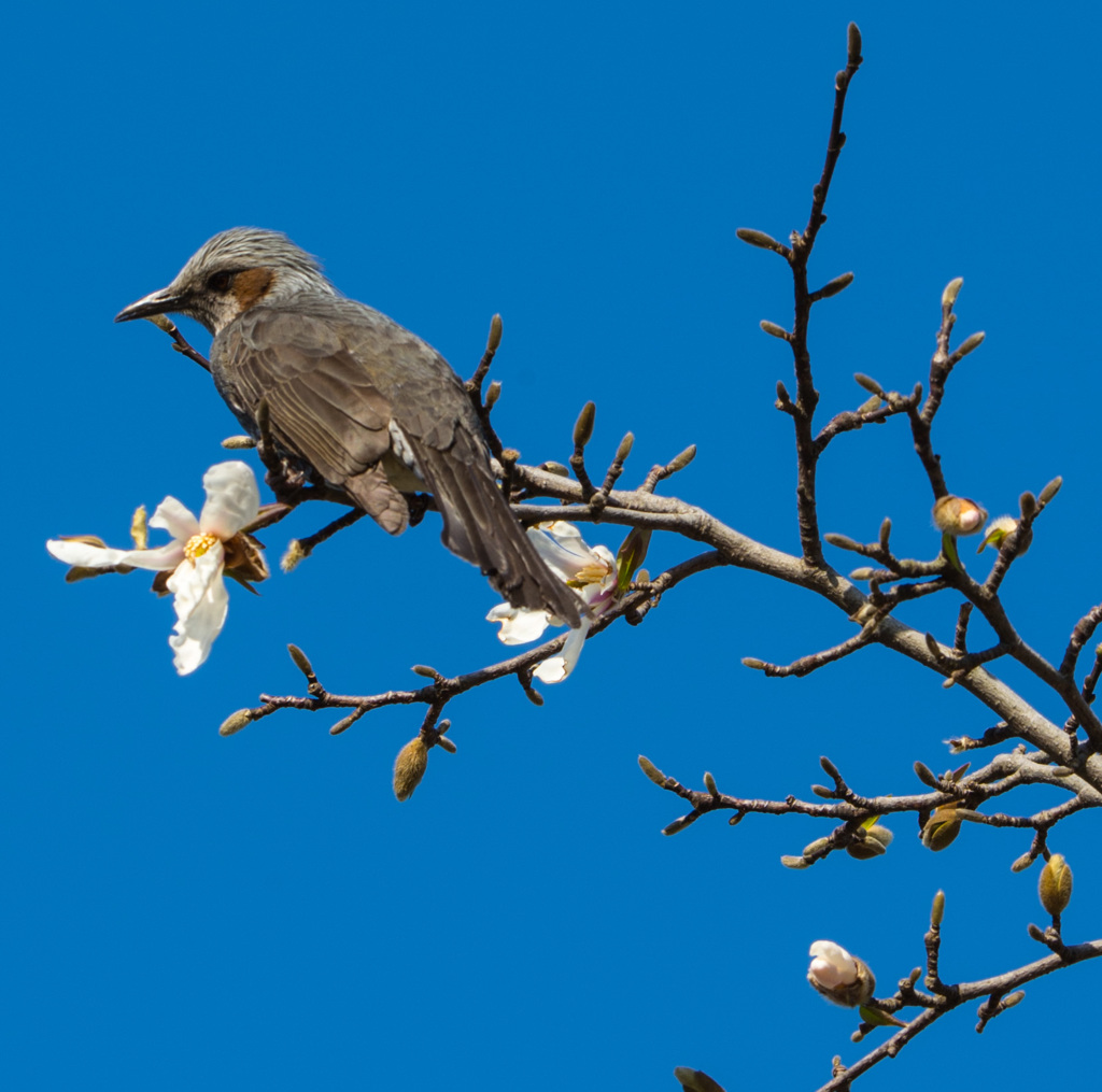野鳥公園にて05