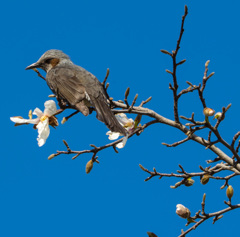 野鳥公園にて05