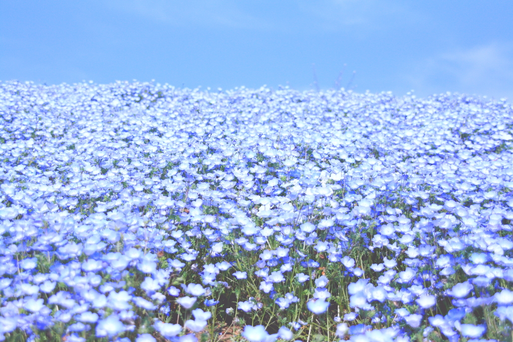 ひたち１０