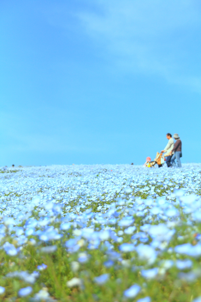ひたち７