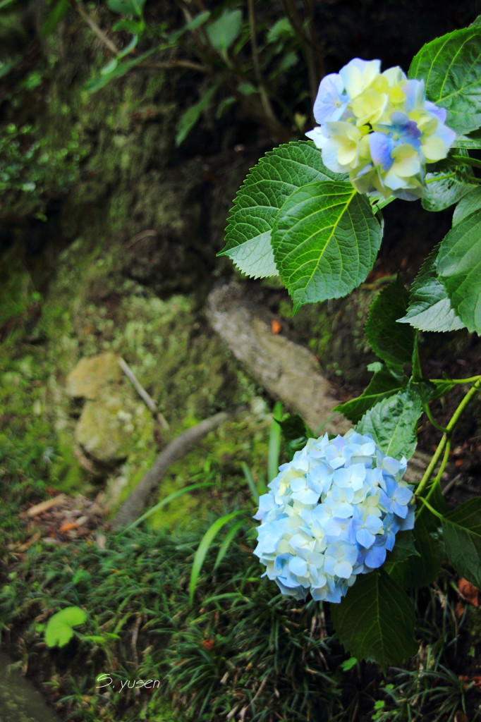 鎌倉18