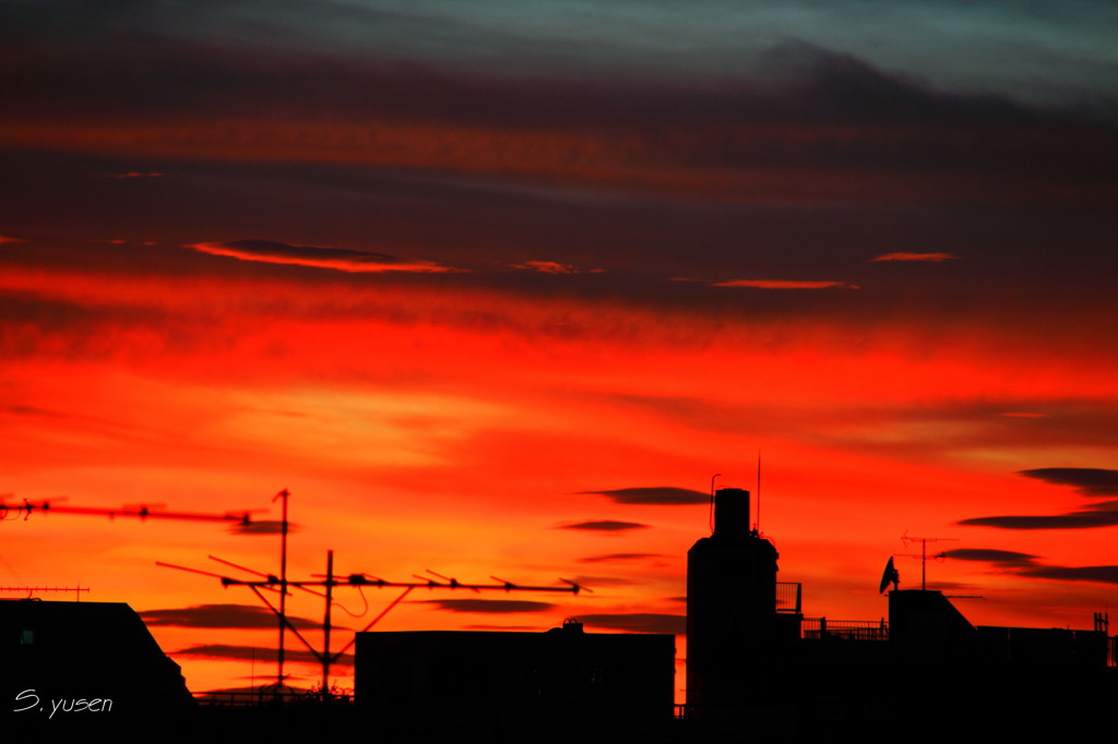 夏の夕日5