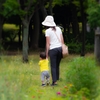 初夏のお散歩