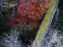 紅葉にかかる橋