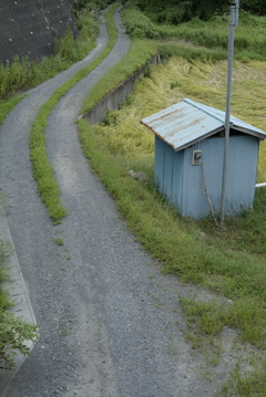 あぜ道