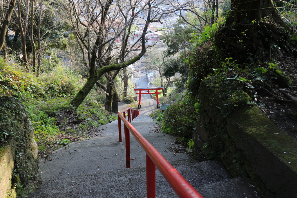 思えば遠くに来たもんだ
