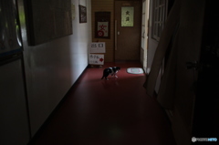 今度は素直に導かれよう。。。