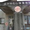 しんちゃんおススメの「湯」in揖宿3