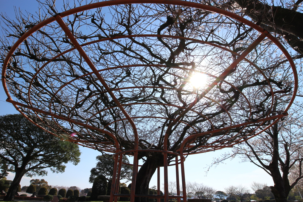 一度は広角で撮りたくなる城山公園の定番
