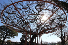 一度は広角で撮りたくなる城山公園の定番