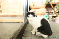 入れて!!の表情