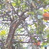 いつもはノートリにこだわってるけど。。。