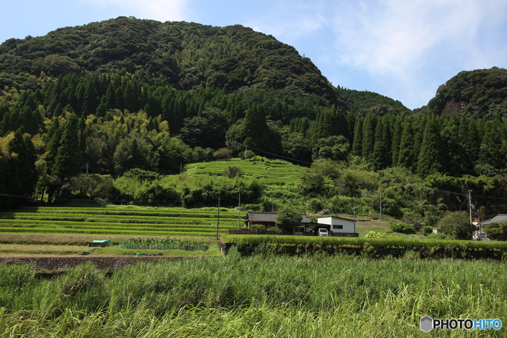 こっちは小鹿野の棚田