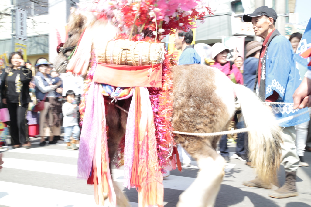 ポニーくん踊る!