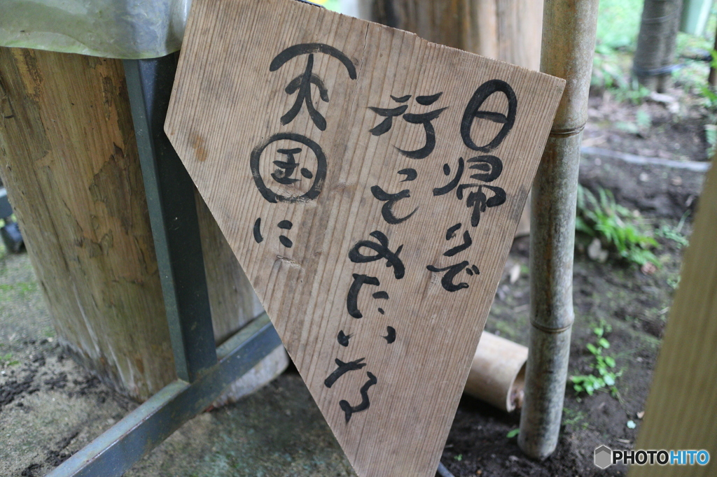 同感