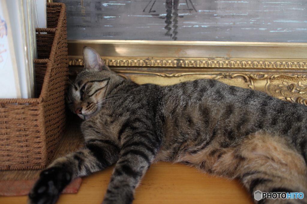 ＺZz。。。