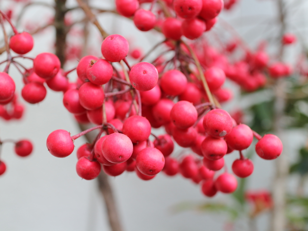 もっと寄ってみた