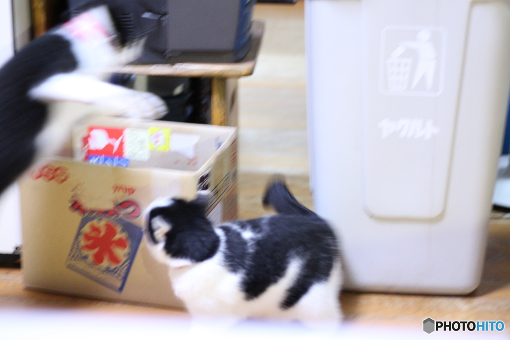 見ーつけ。。。たーーーー!!
