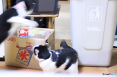 見ーつけ。。。たーーーー!!