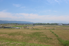 県民健康ウォークなるイベントが有ったっぽい