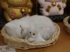 眠っているみたいだろ？これ、置き物なんだぜ。。。