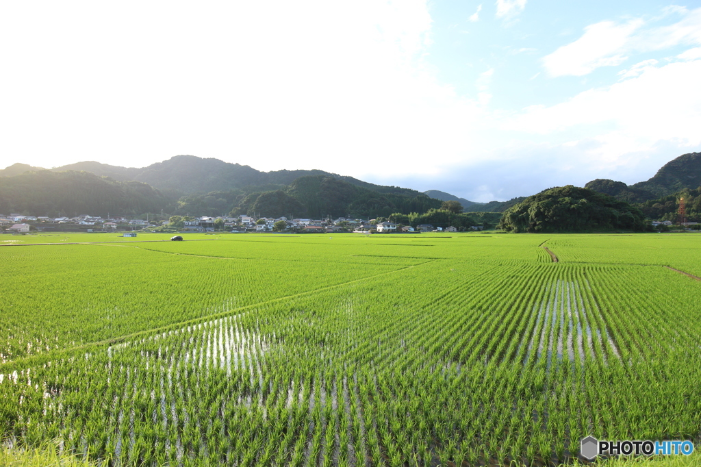 田田ん、田ん田田ん!