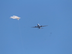 凧を撮るか、飛行機を撮るか
