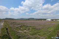 田園風景