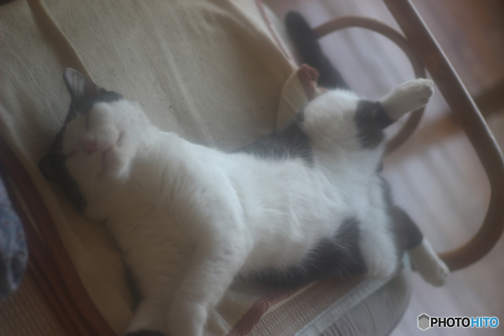 シャッターチャンスに限って・・・