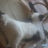 シャッターチャンスに限って・・・