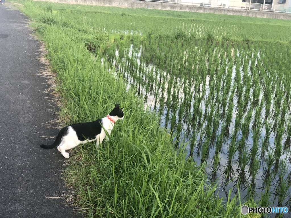 誰かがお前を狙ってる