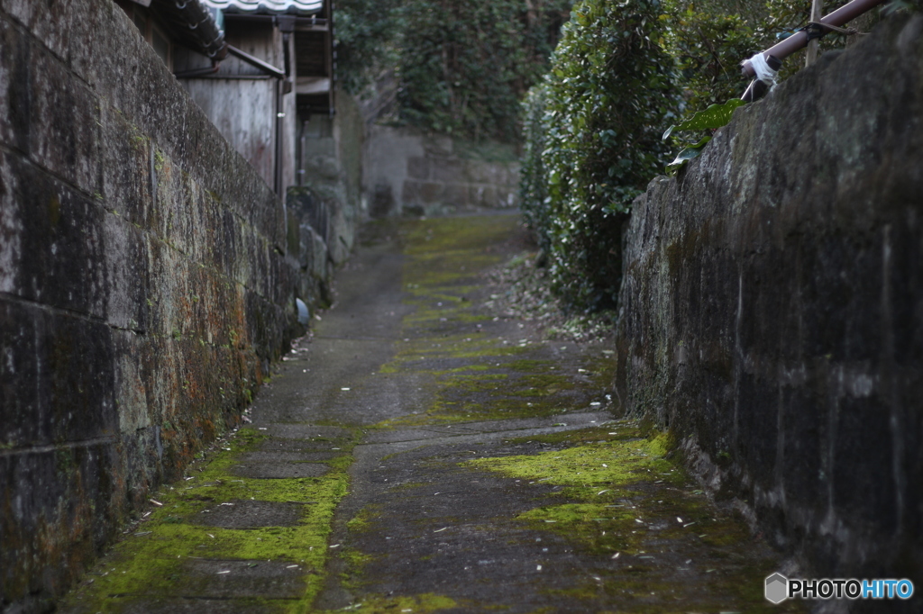 独特な道