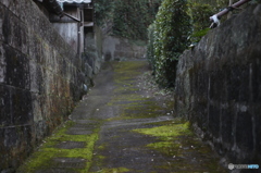独特な道