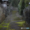 独特な道