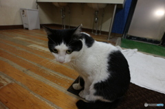 男湯へ珍入者