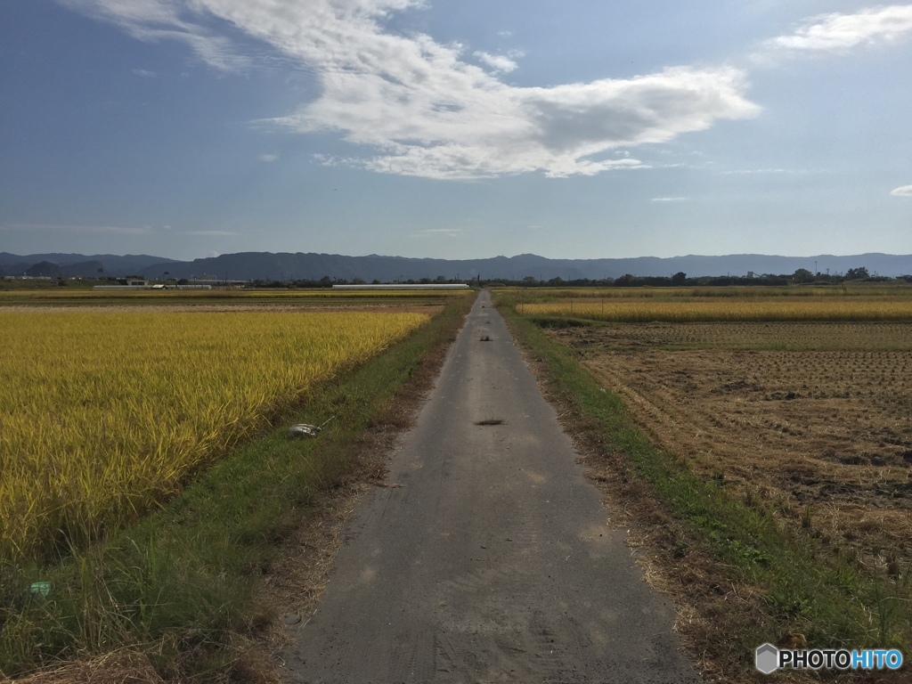 風景だけならiPhoneでも。。。