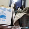 350mlx24本