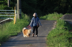 犬の散歩中