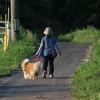 犬の散歩中