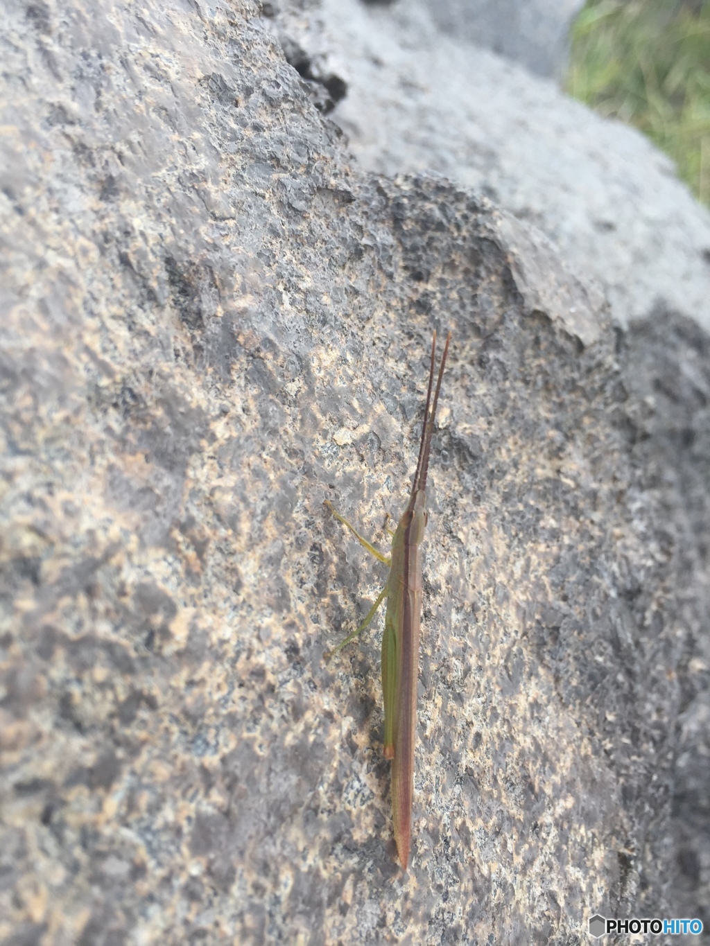 そこ、私の席。。。