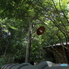 照らします