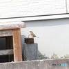 お気に入りの場所