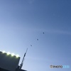 お家に帰ろう