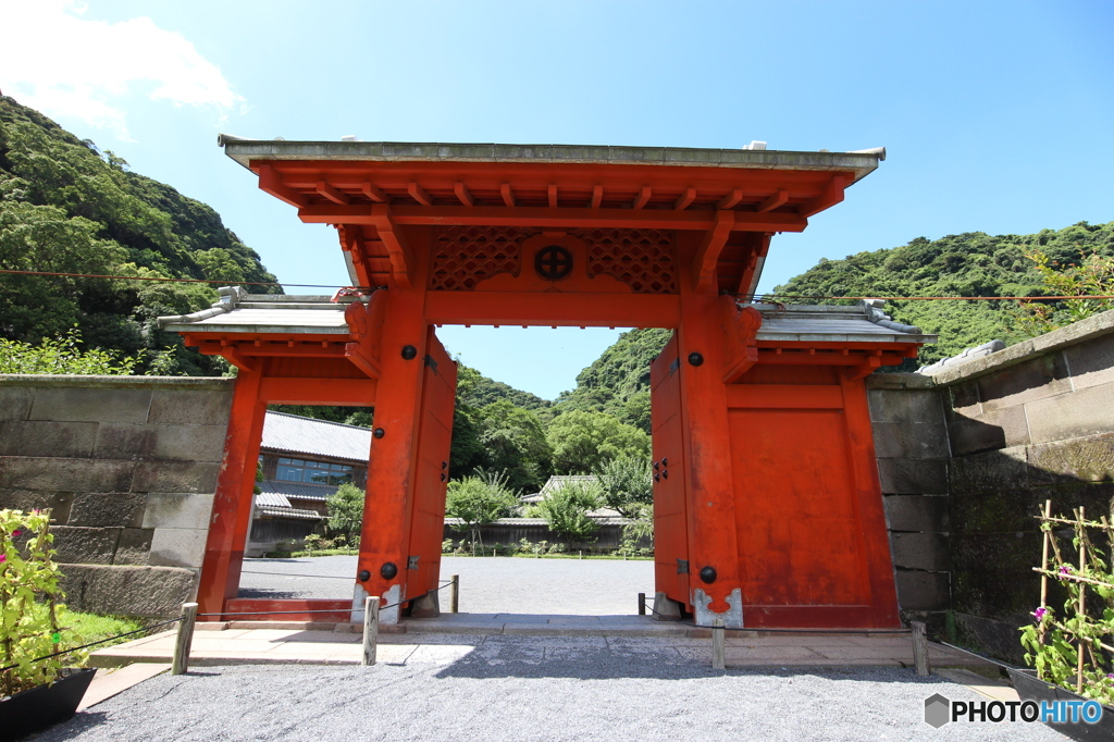 島津さん家