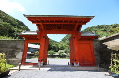 島津さん家