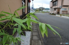 多分看護婦さんに会える居酒屋