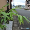 多分看護婦さんに会える居酒屋