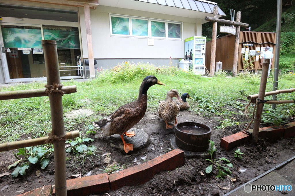 くつろいでますね