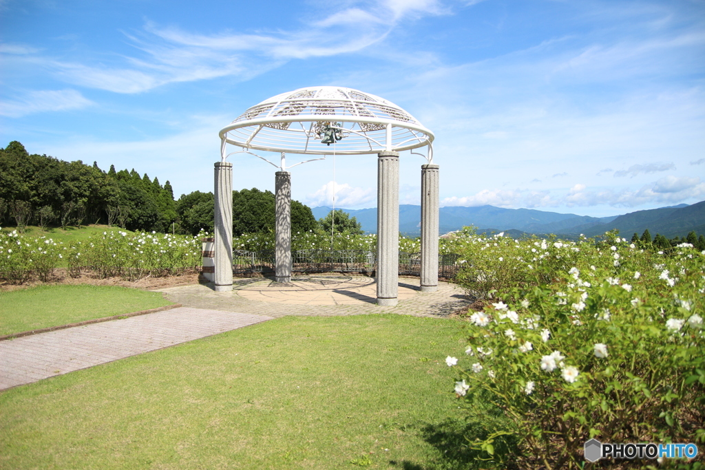 初めての鹿屋バラ園